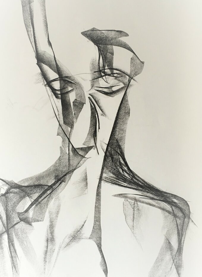 Die Sch&ouml;ne 