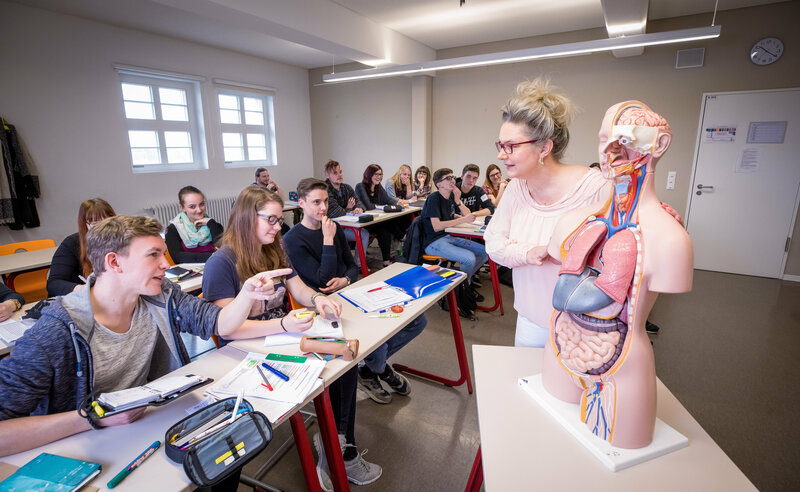 Abbildung Ausbildungsberufe & Studieng&auml;nge