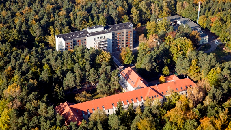 Abbildung Wei&szlig;er Hirsch